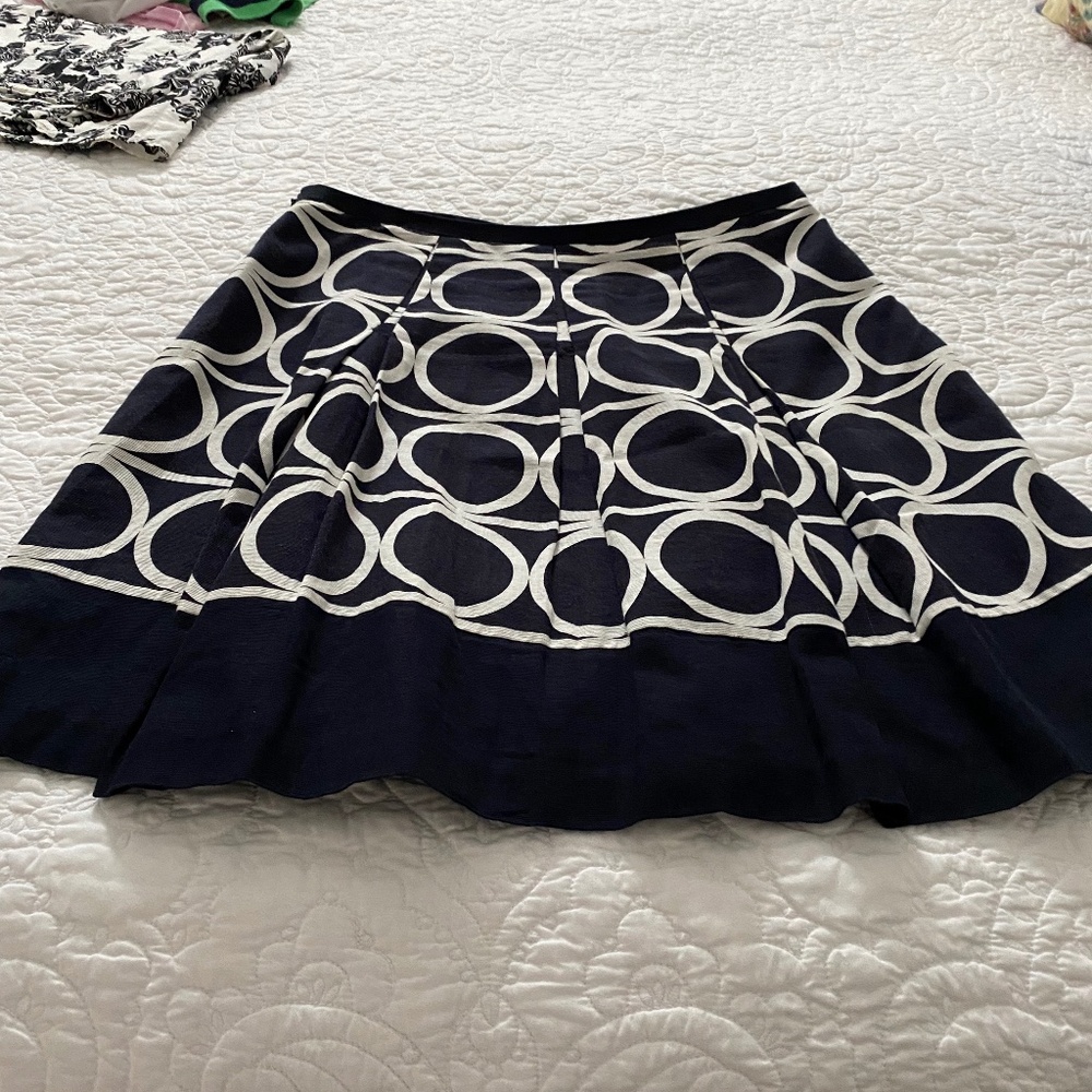 Ann Taylor skirt